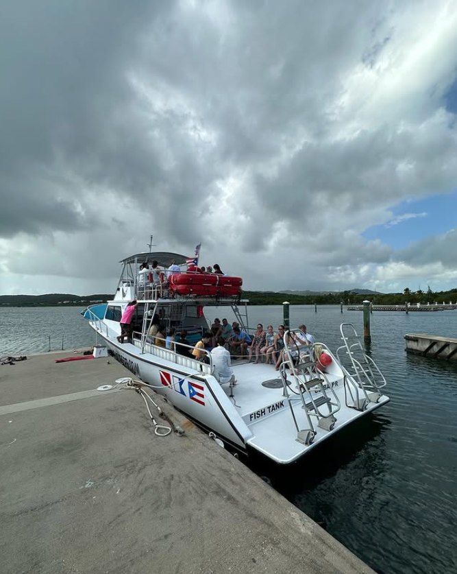 Newton 51 | Fish Tank