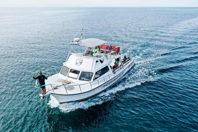 Newton 51 | Fish Tank