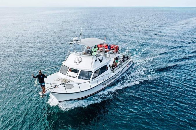 Newton 51 | Fish Tank