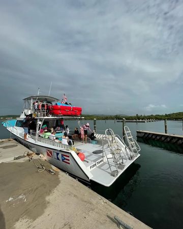 Newton 51 | Fish Tank