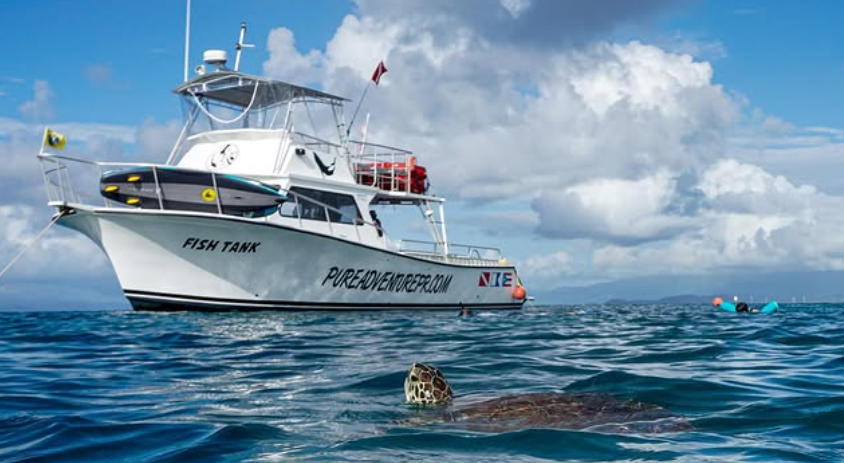 Newton 51 | Fish Tank