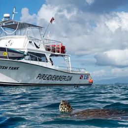 Newton 51 | Fish Tank