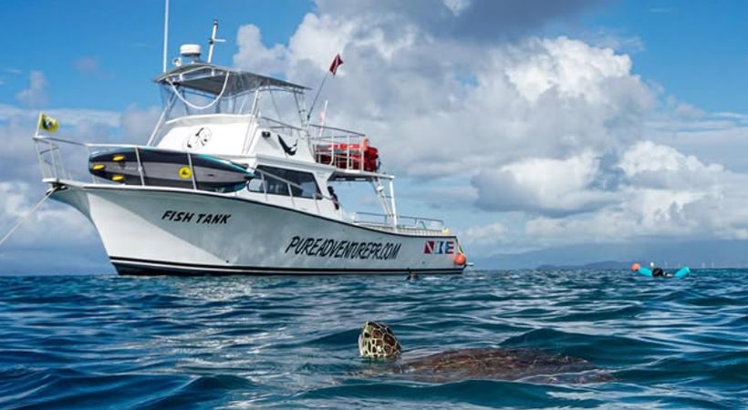 Newton 51 | Fish Tank