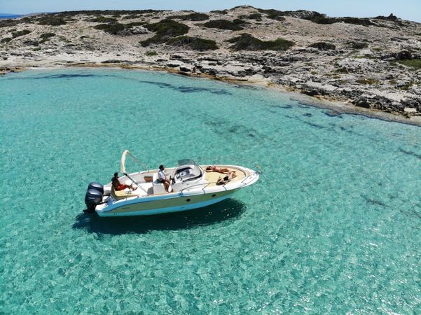 Sessa 29 | Ave Fenix