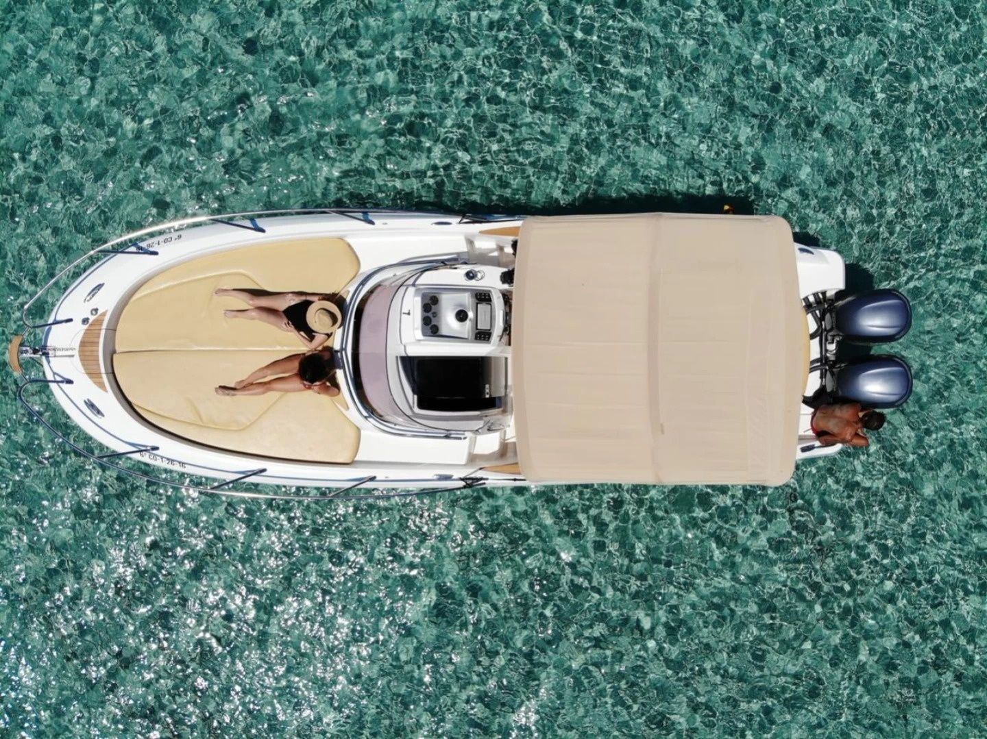 Sessa 29 | Ave Fenix