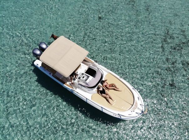 Sessa 29 | Ave Fenix