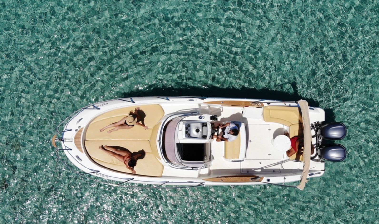 Sessa 29 | Ave Fenix