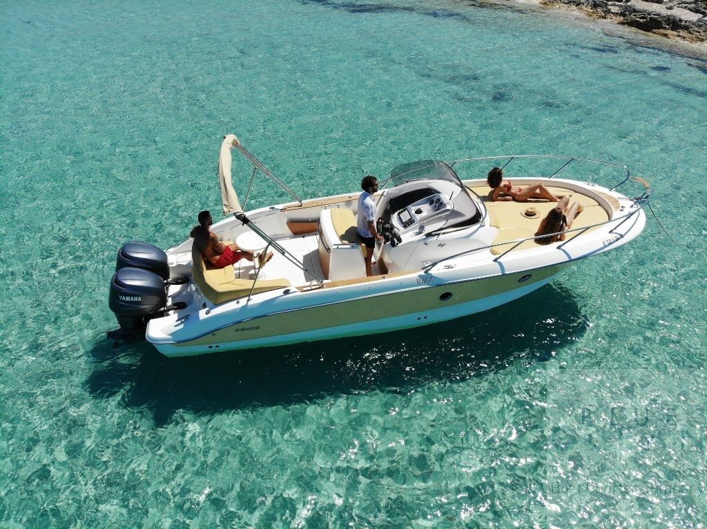 Sessa 29 | Ave Fenix