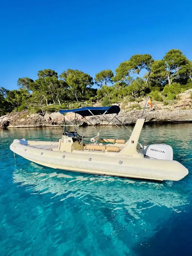 Astec Pro 600 | Neko