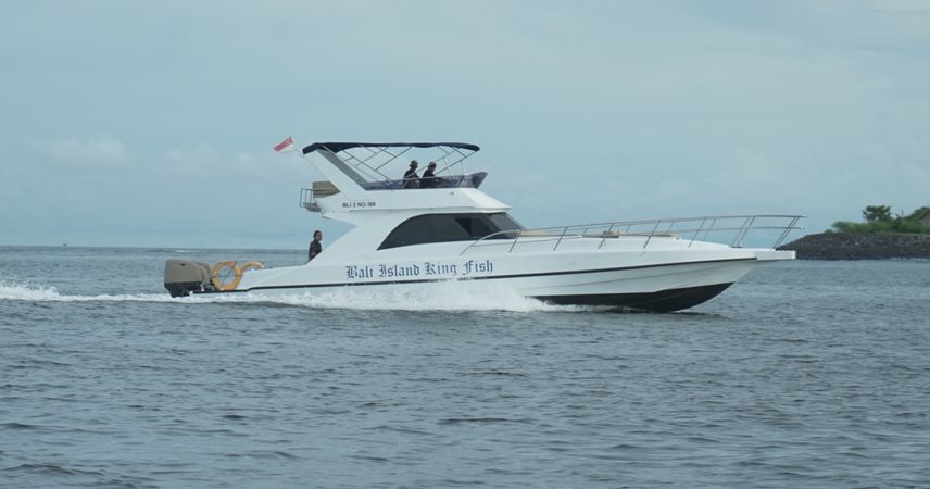 Custom Built 39 | King Fish