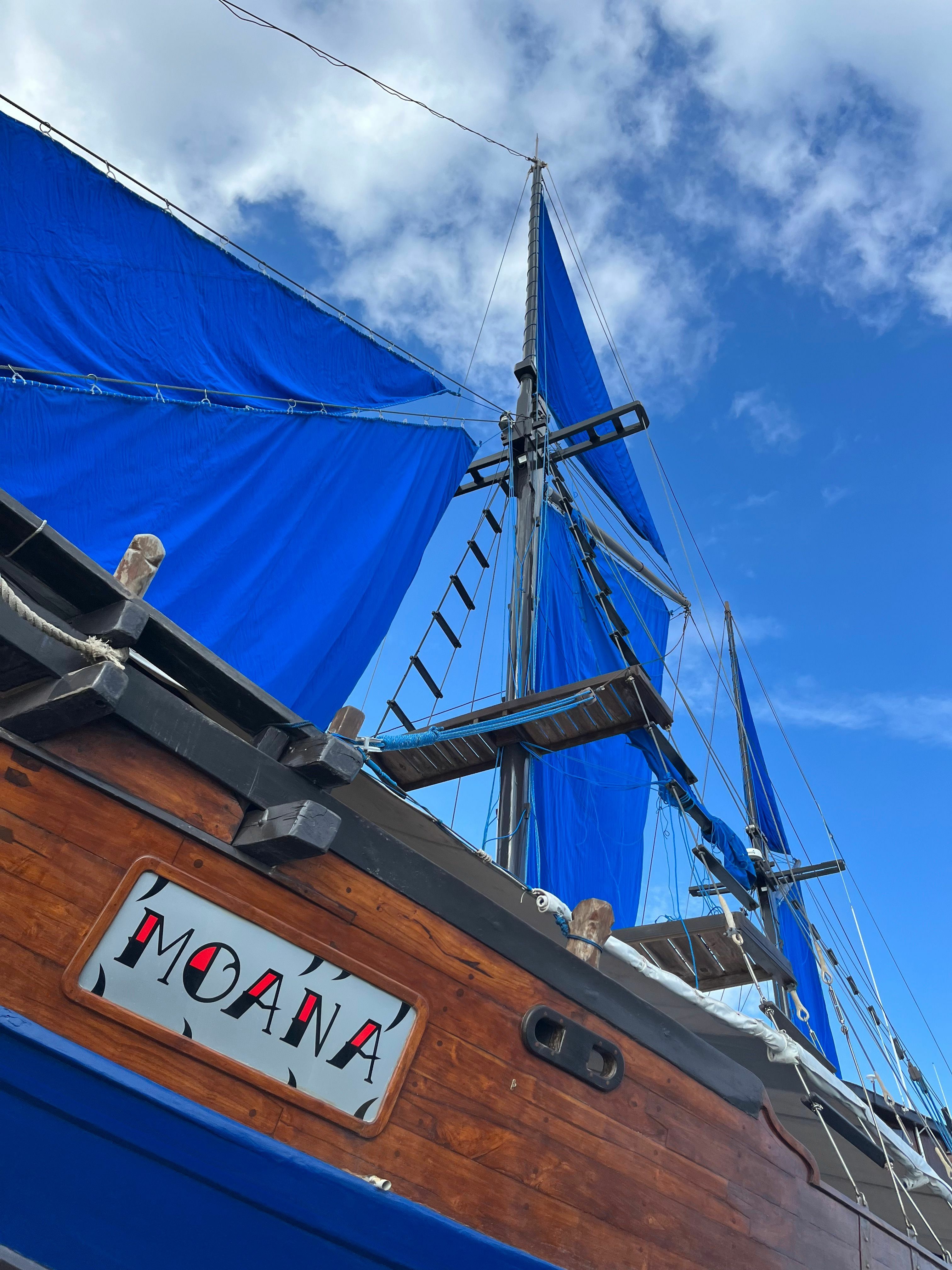 Custom Built 98 | Moana