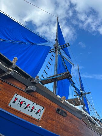 Custom Built 98 | Moana