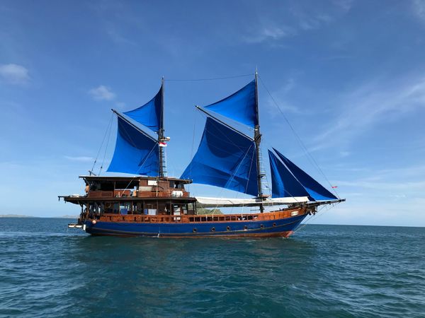 Custom Built 98 | Moana