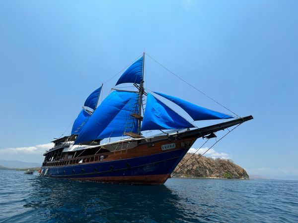 Custom Built 98 | Moana