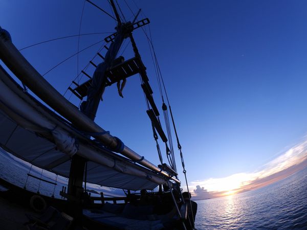 Custom Built 98 | Moana