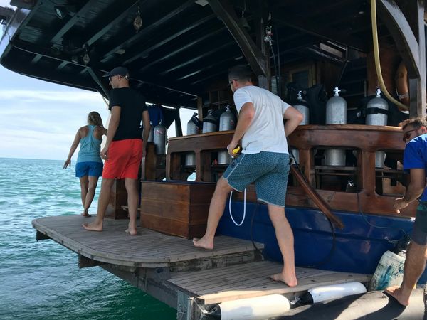 Custom Built 98 | Moana