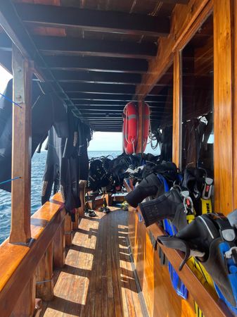 Custom Built 98 | Moana