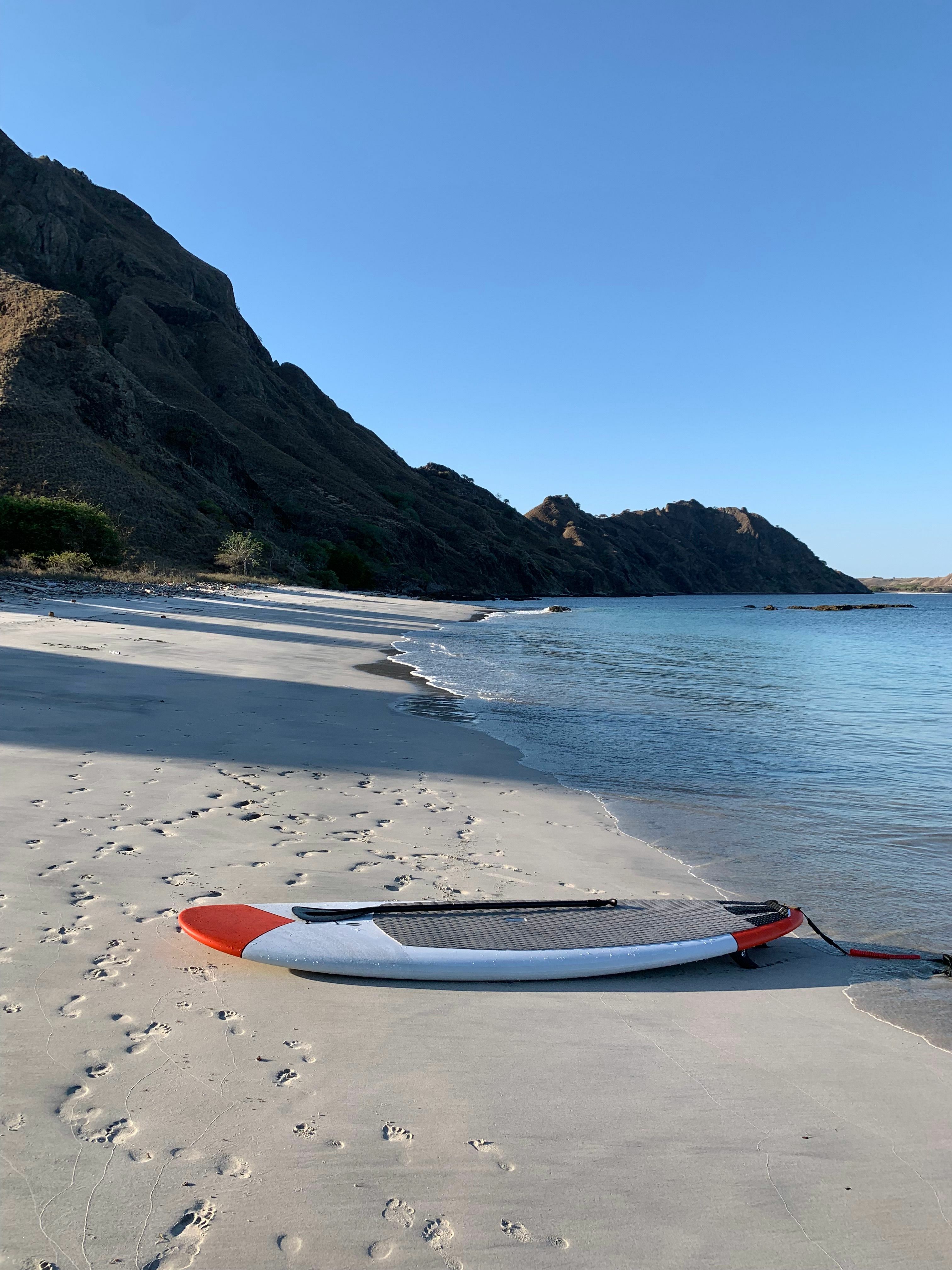 Custom Built 98 | Moana