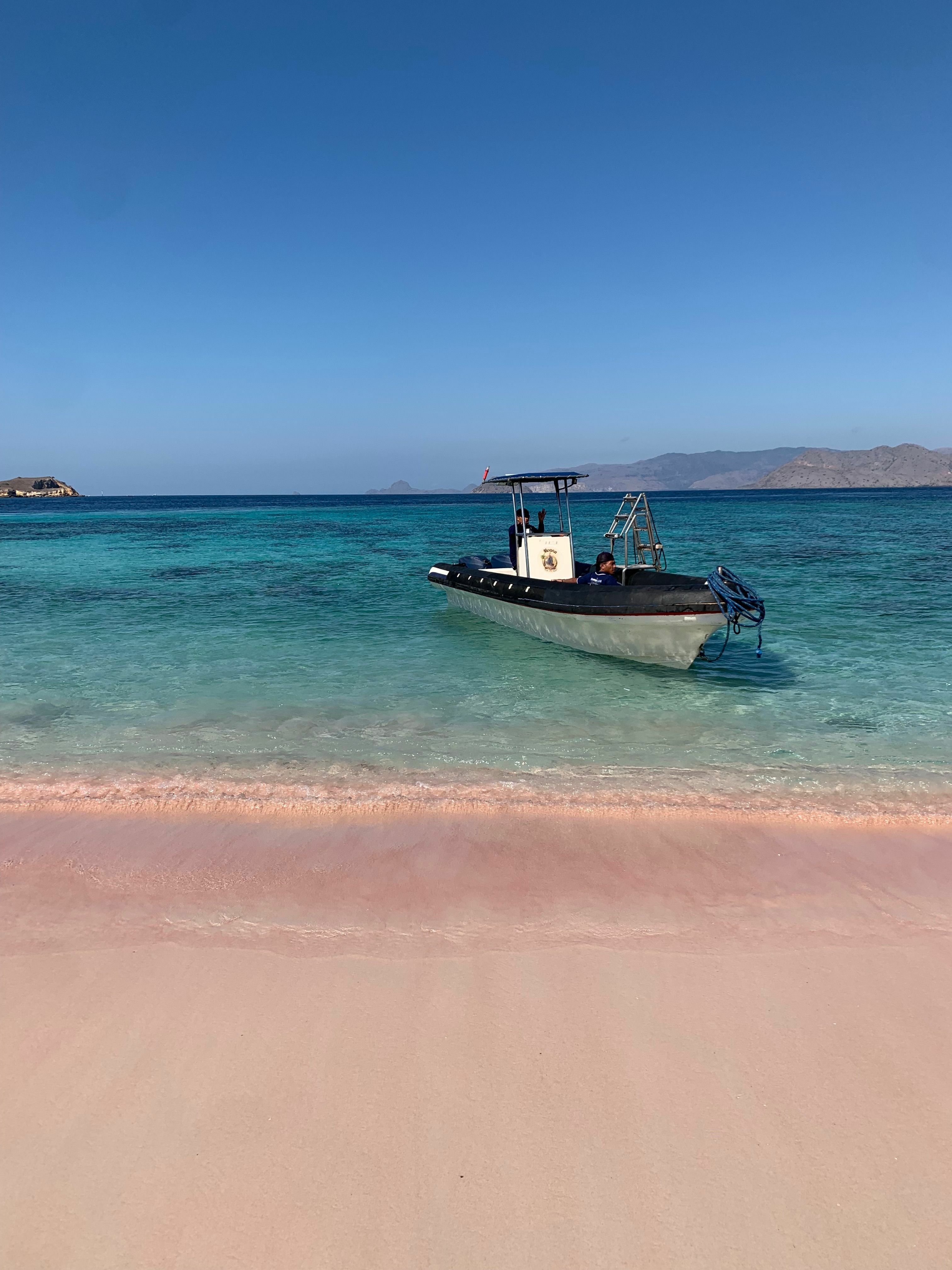 Custom Built 98 | Moana