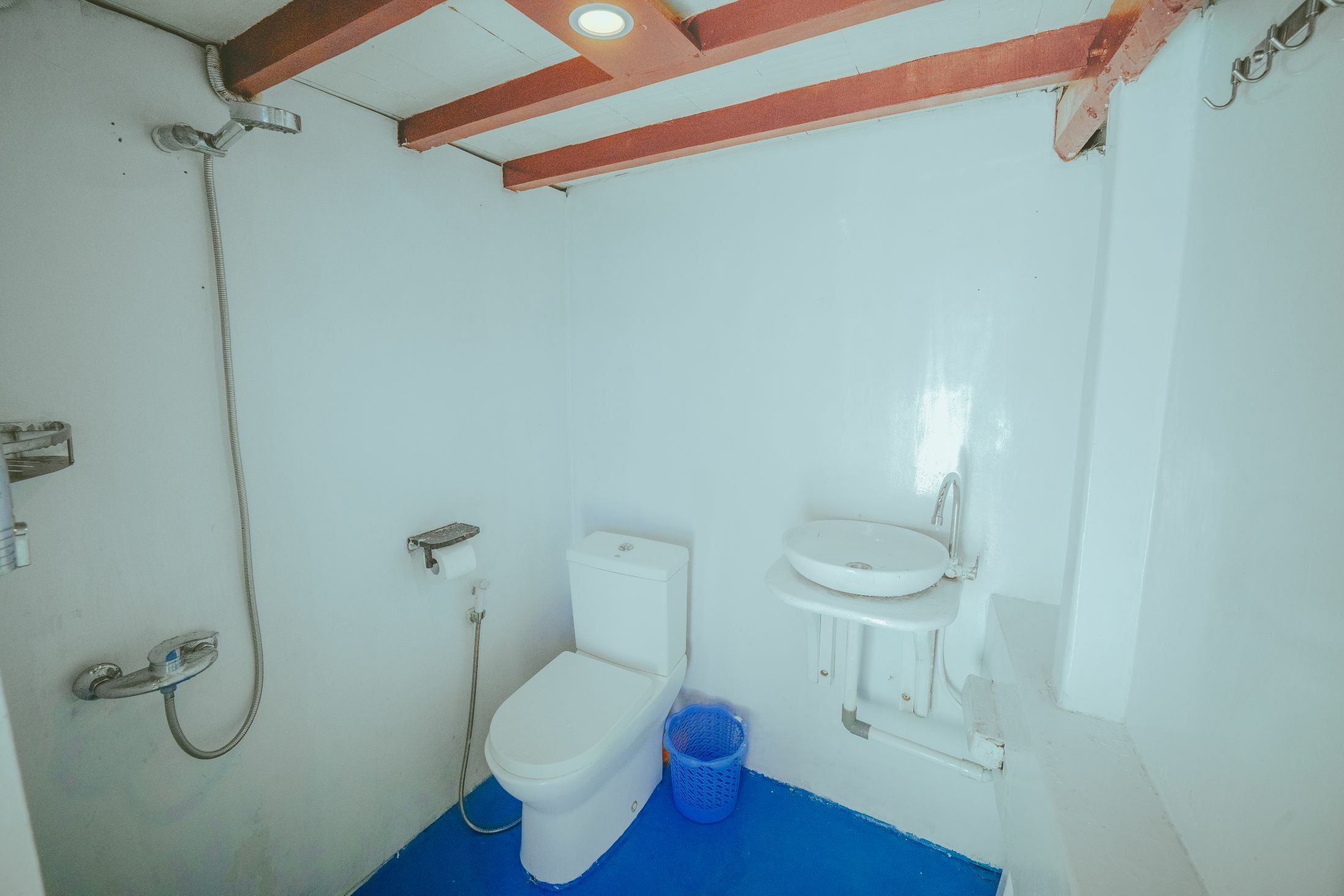 Custom Built 85 | Lamborajo 1