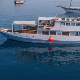 Custom Built 72 | Dewi