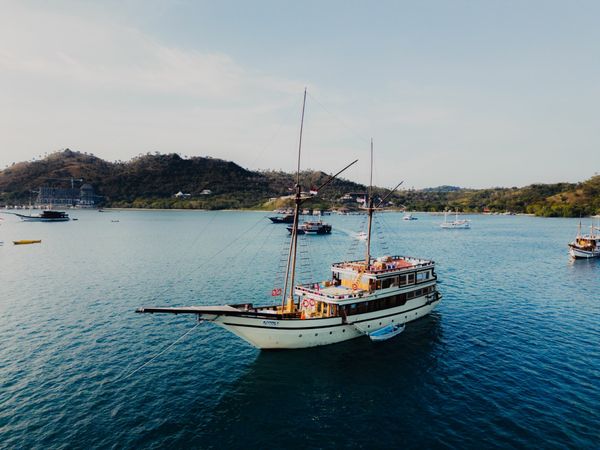 Custom Built 95 | Alfatran 3