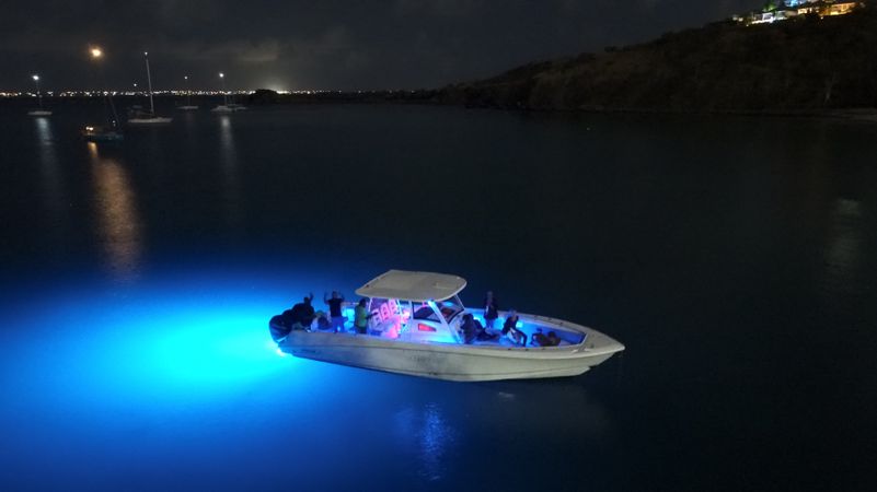 Boston Whaler 380 Outrage | Ultimate 1