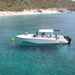 Boston Whaler 380 Outrage | Ultimate 1