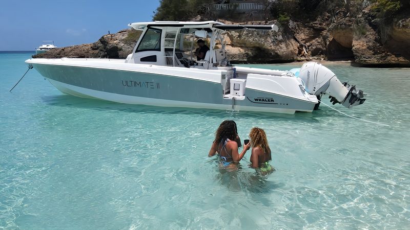 Boston Whaler 380 Outrage | Ultimate 2