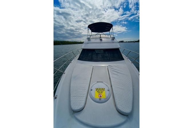 Carver 50 | Two Knuts