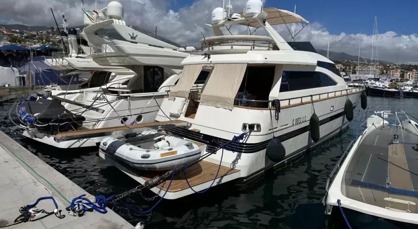 Technomarine 62 | Palme