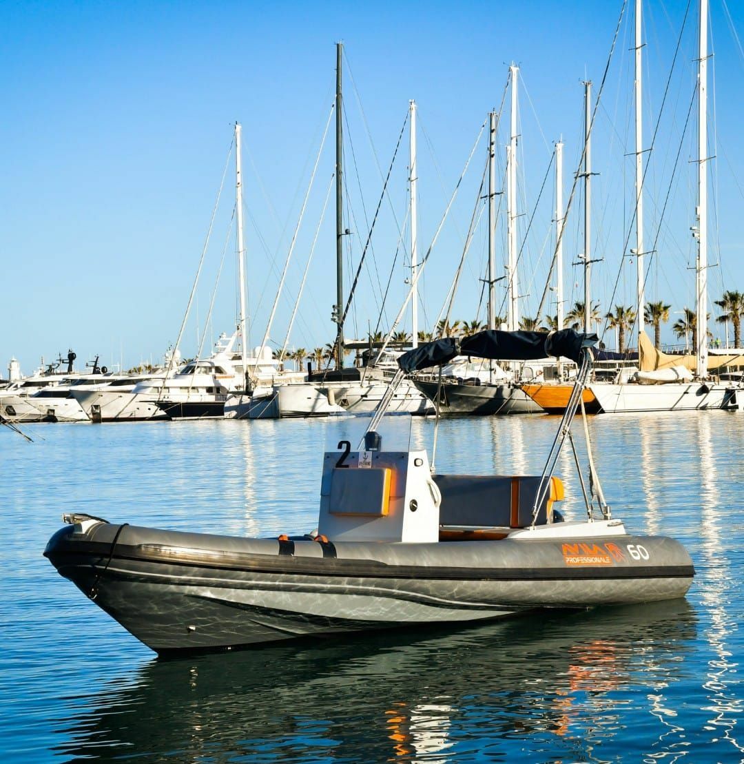 Gommoni 540 | Avila Pro