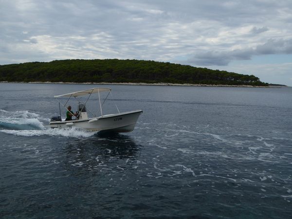 Fisher 17 | Murterino