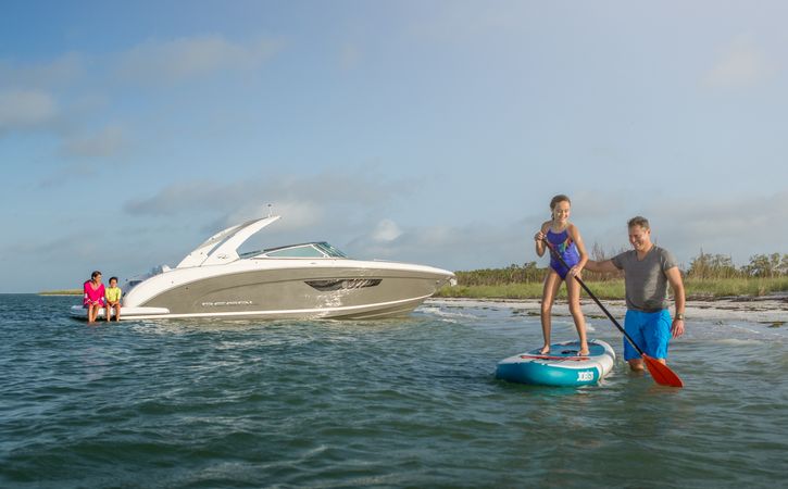 Regal 3300 | Searendipity