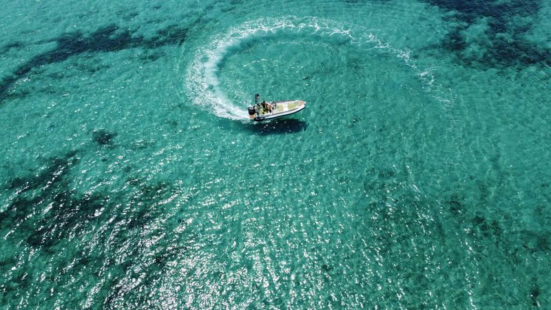 Marlin 182 | Grovlan 5