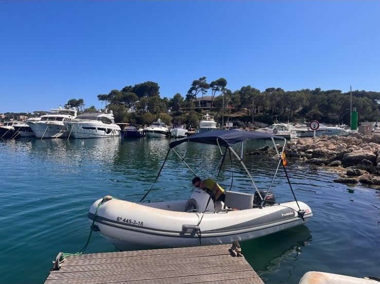 Protender HSF 440 | 18