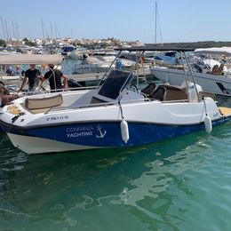 V2 7.0 | Pardal de Moro