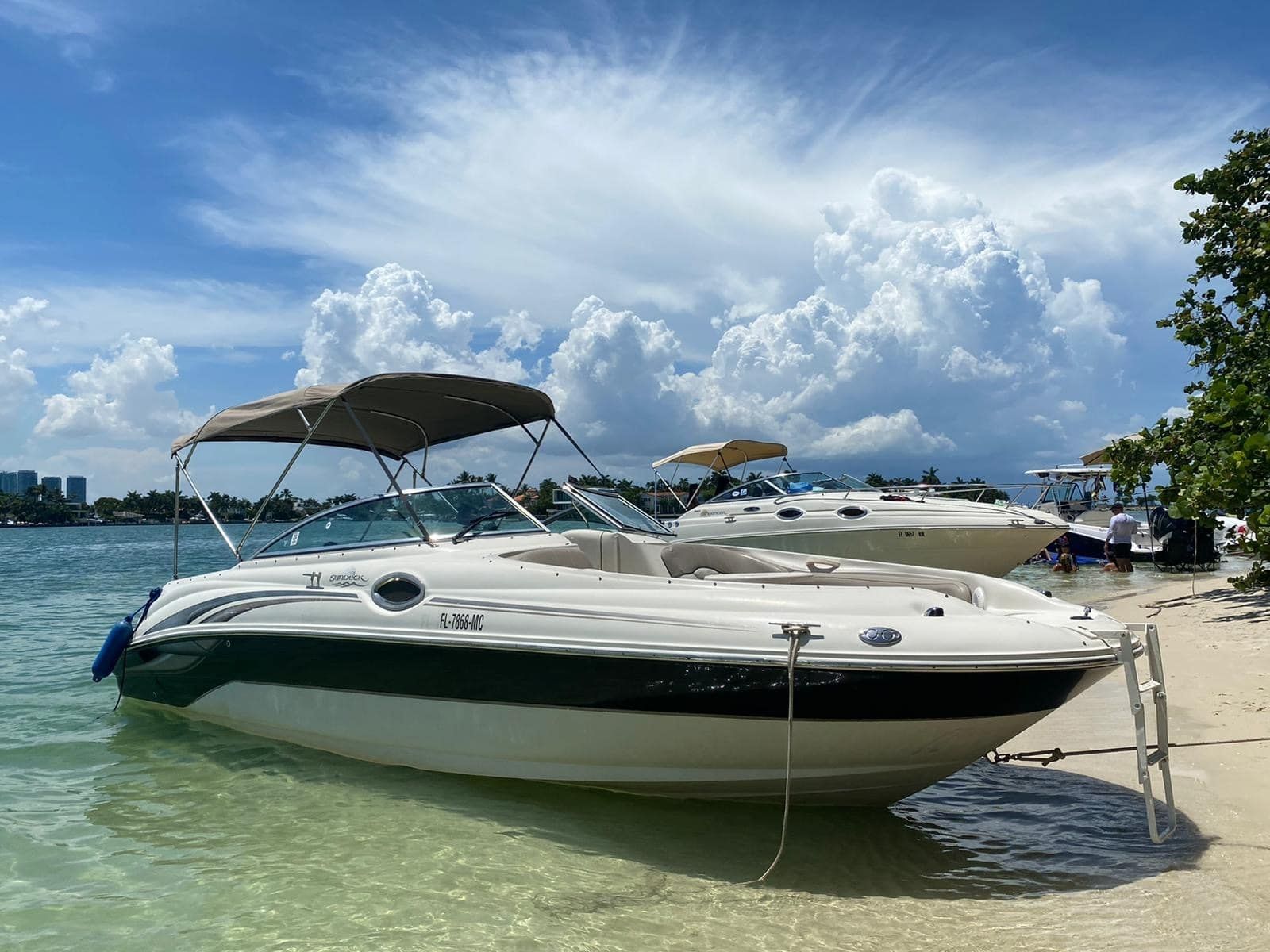 Sea Ray Sundeck 240 | Sundeck 7868