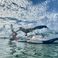 Sea Ray Sundeck 240 | Sundeck 7868