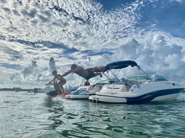 Sea Ray Sundeck 240 | Sundeck 7868