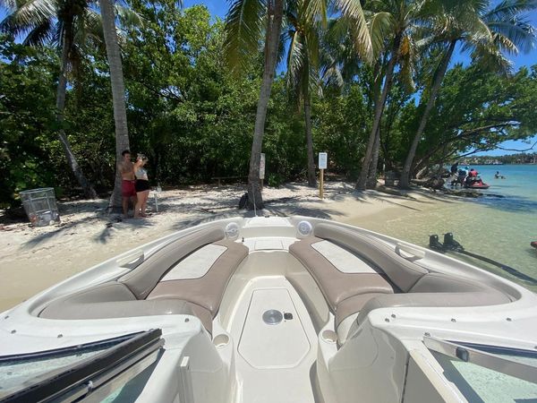Sea Ray Sundeck 240 | Sundeck 7868