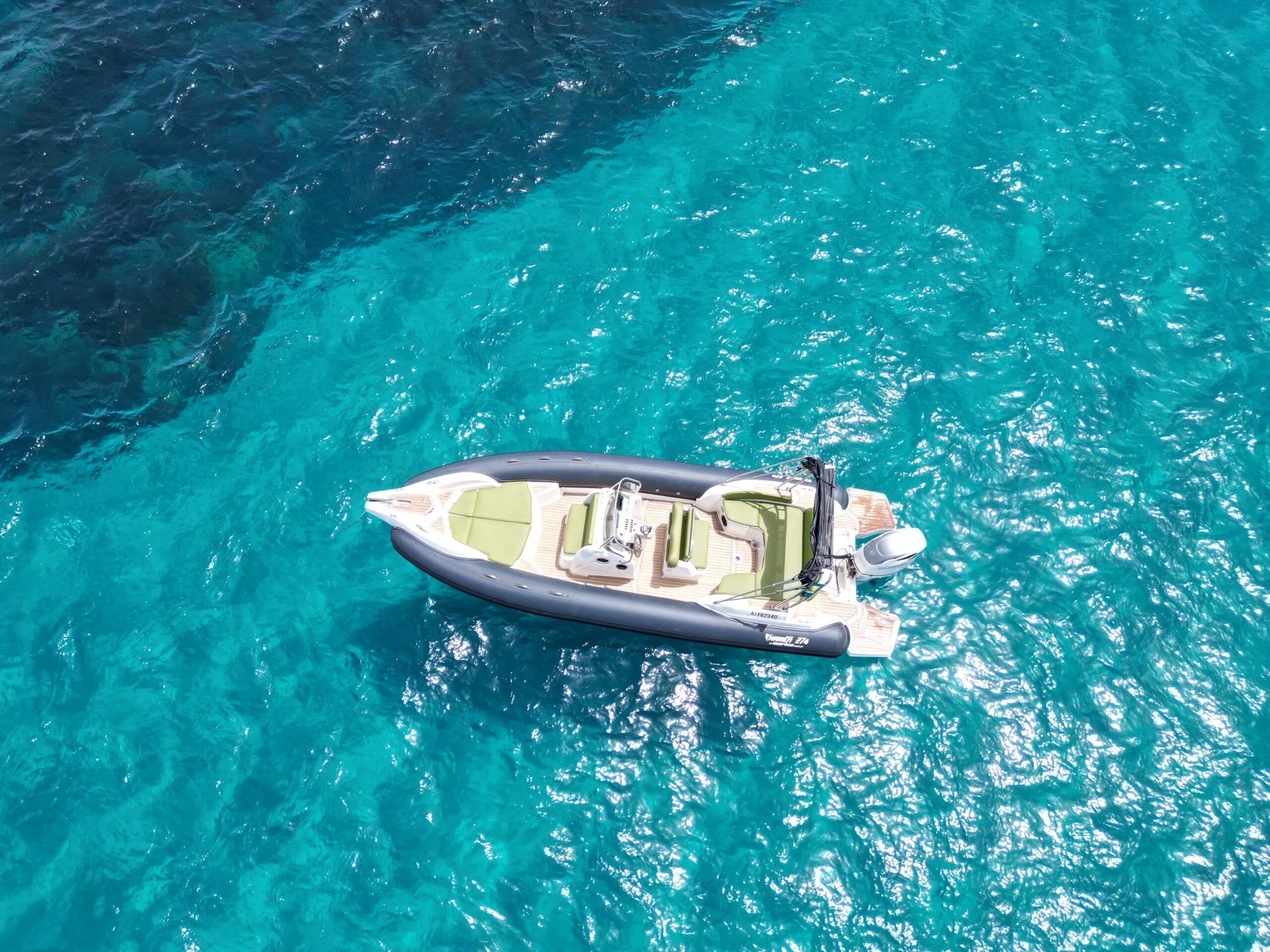 Marlin 274 | Delfine