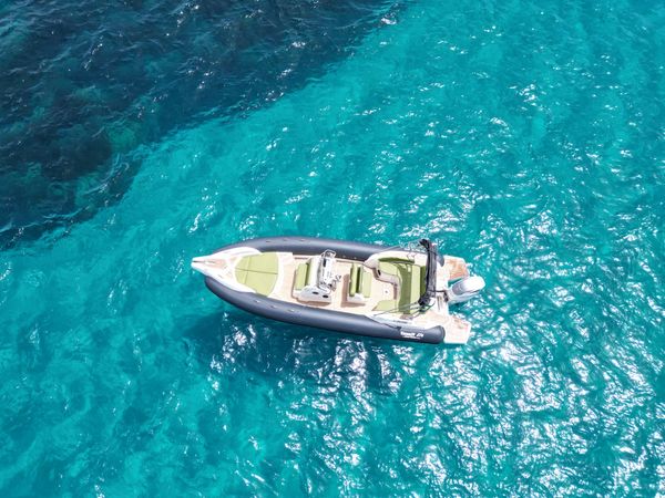 Marlin 274 | Delfine