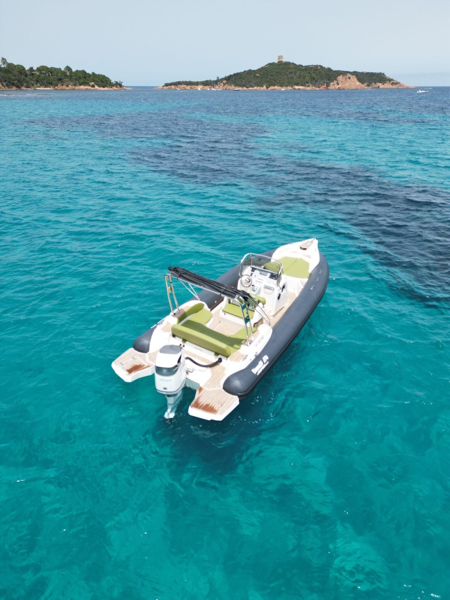 Marlin 274 | Delfine