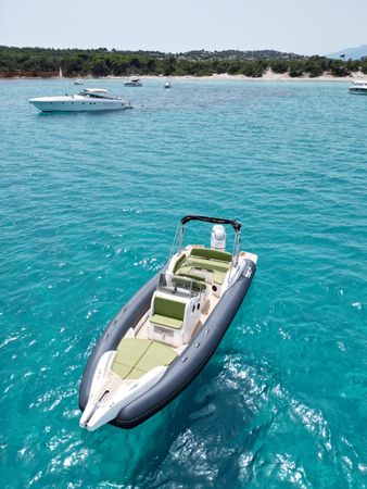 Marlin 274 | Delfine