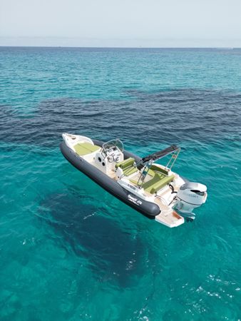 Marlin 274 | Delfine