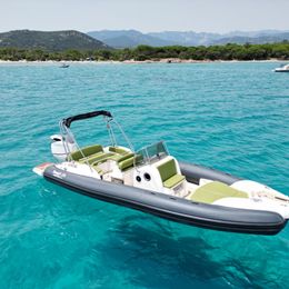 Marlin 274 | Delfine