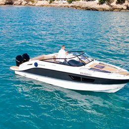 Quicksilver 805 | Delfin