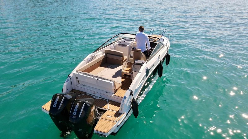 Quicksilver 805 | Delfin