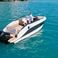 Quicksilver 805 | Delfin